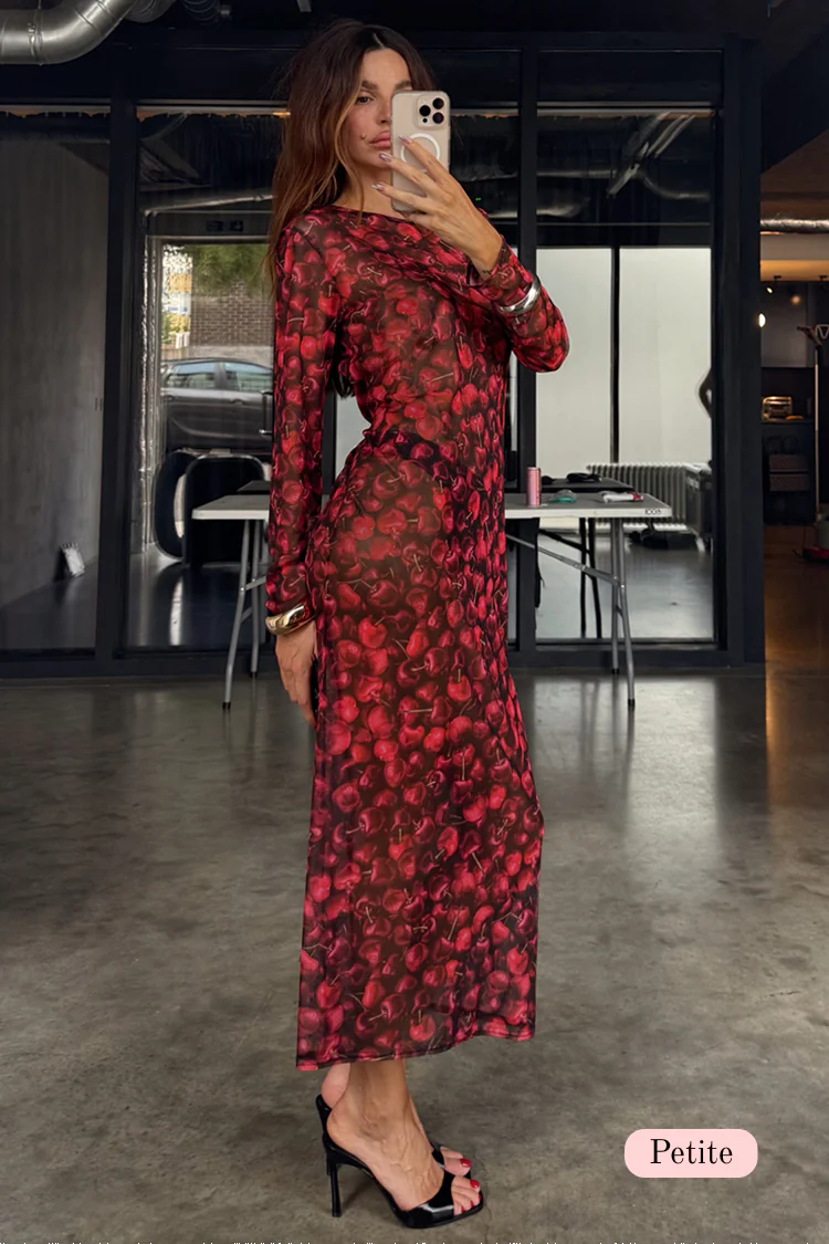 Cherry Mesh Soho Dress Petite - Image 2