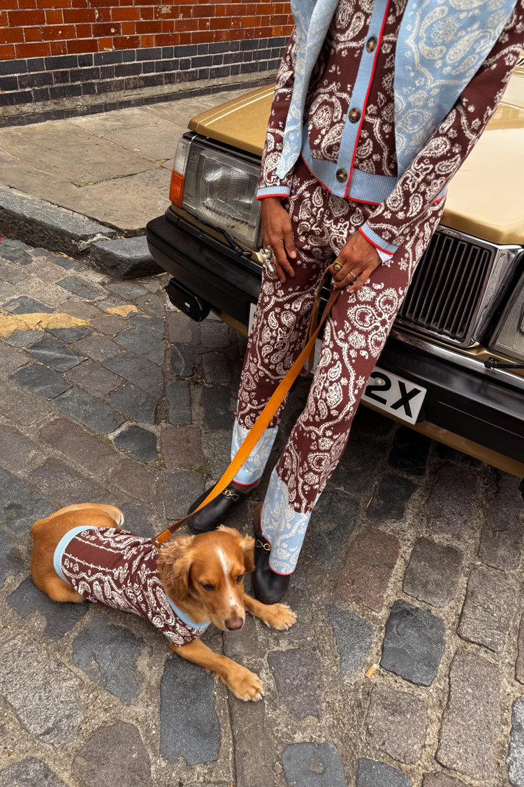 Chocolate Bandana Dog Jumper - Image 4