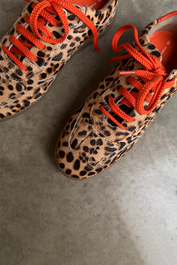 Leopard Pony Trainer - Image 3