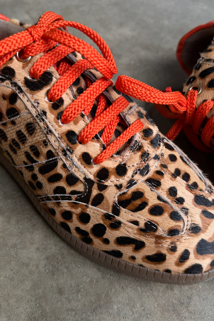 Leopard Pony Trainer - Image 5
