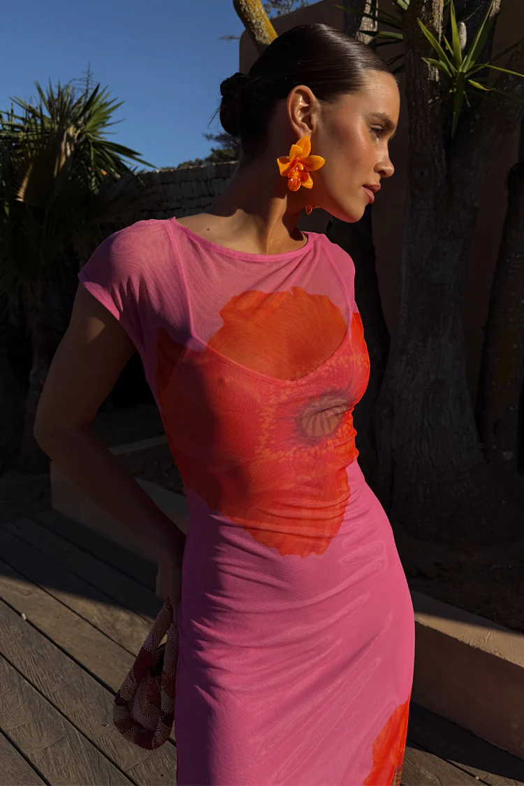 Pink Poppy Sleeveless Mesh Dress - Image 8